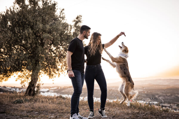 preboda_sebas_fanny_movil-136 preboda_sebas_fanny_movil-136